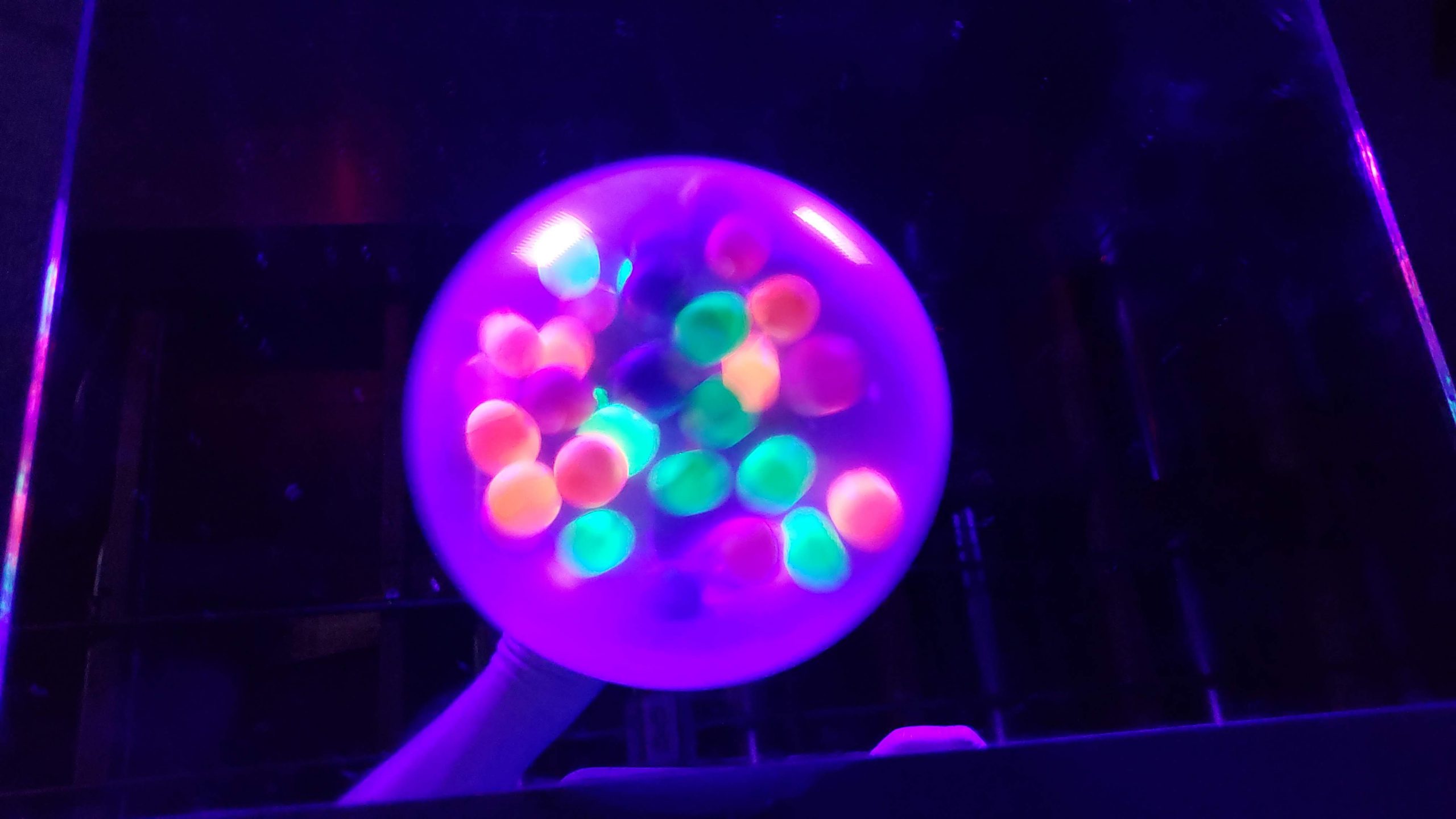 A cool effect with blacklight and neon balloon that create a cool balloon effect.